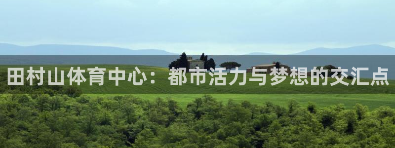 杏宇代理注册官网入口