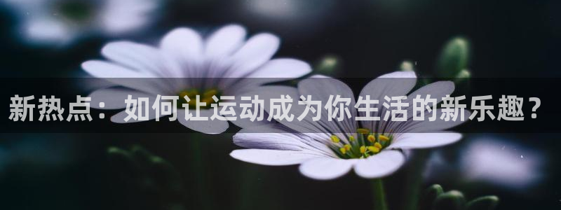杏宇官网注册