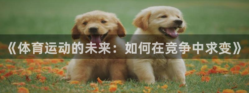 杏宇平台主管