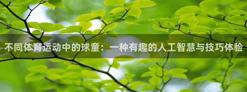 杏宇体育和杏耀是哪个公司的