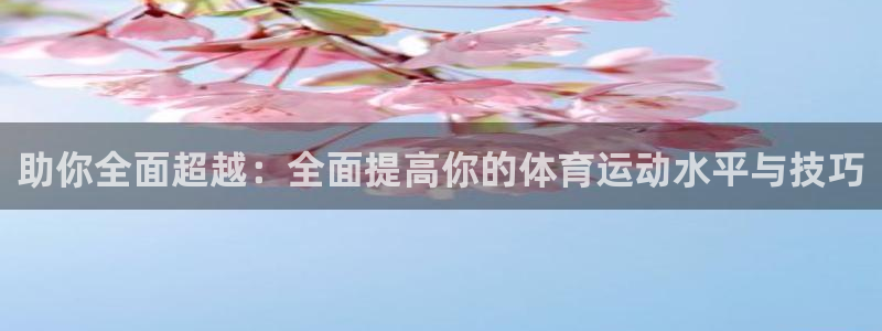 杏宇集团官网