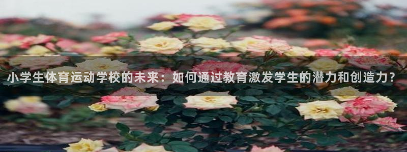杏宇平台