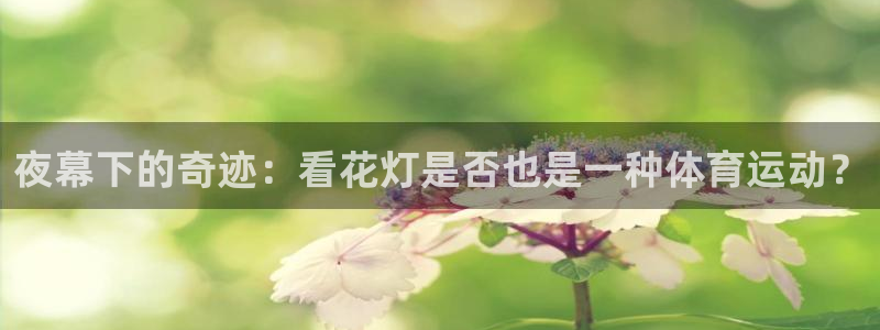 杏宇平台主管