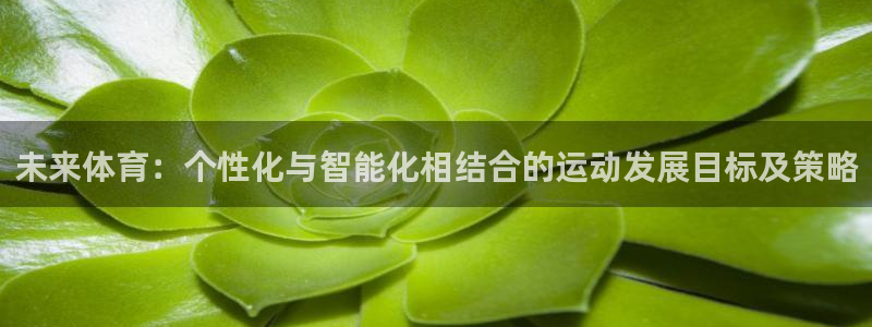 杏宇包怎么样