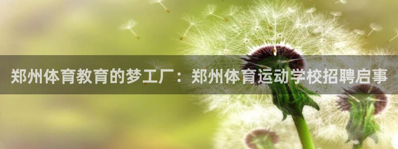 成都杏宇电子有限公司