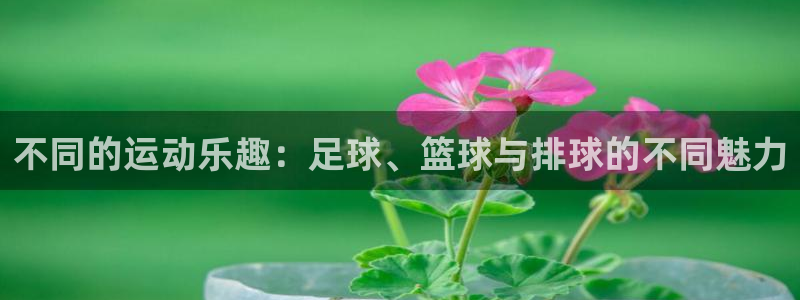 杏宇2登录地址