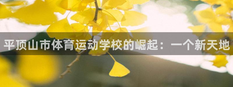 杏宇体育老板是谁