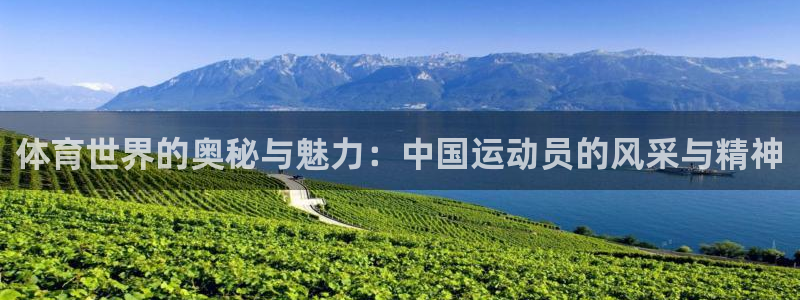 杏宇体育注册登录入口