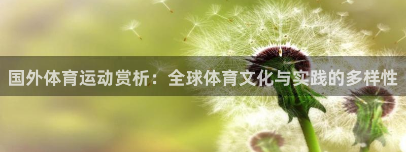 杏宇2代理注册
