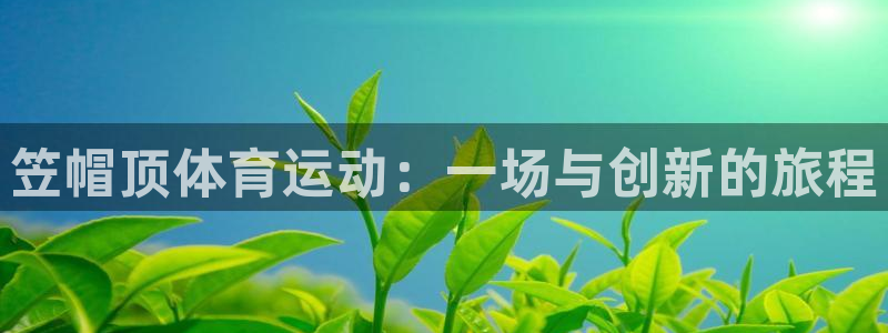 杏宇体育2
