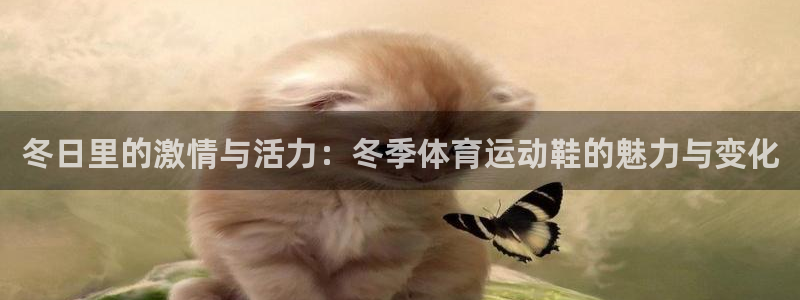 杏宇3代理