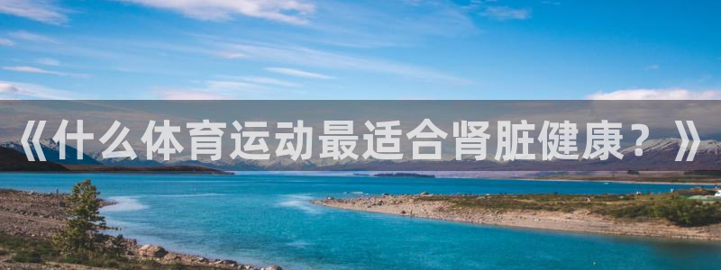 杏宇体育官网
