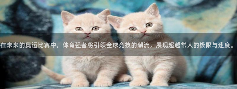 杏宇官网