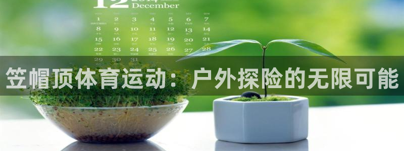 上海杏宇汽车电子有限公司