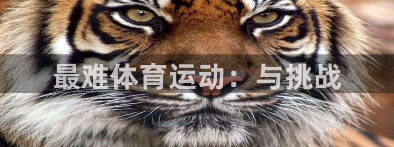 杏宇4登录