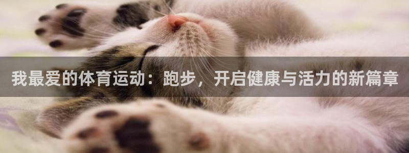 杏宇股份