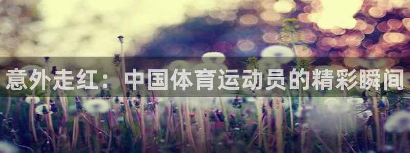 www.杏宇体育.com