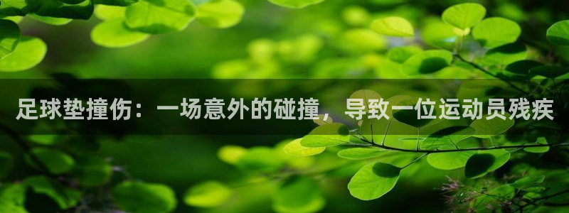 杏宇凯捷平台