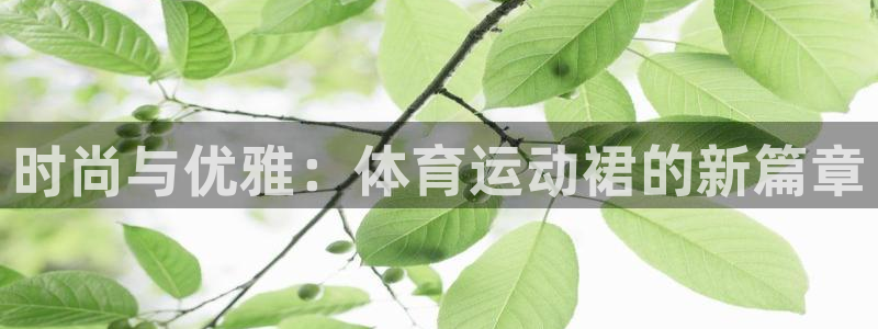 杏宇f凯捷平台在线注册